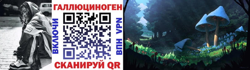купить   MEGA ссылки  Псилоцибиновые грибы Psilocybine cubensis  Назрань 